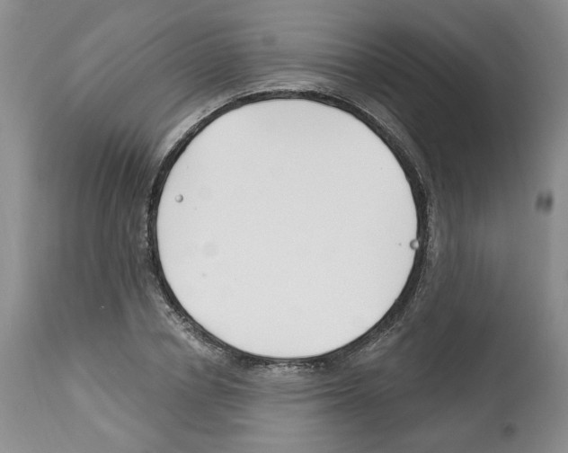X0000112460834200909281018