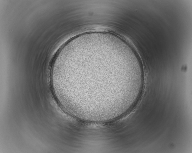 X0000112460835200909281018