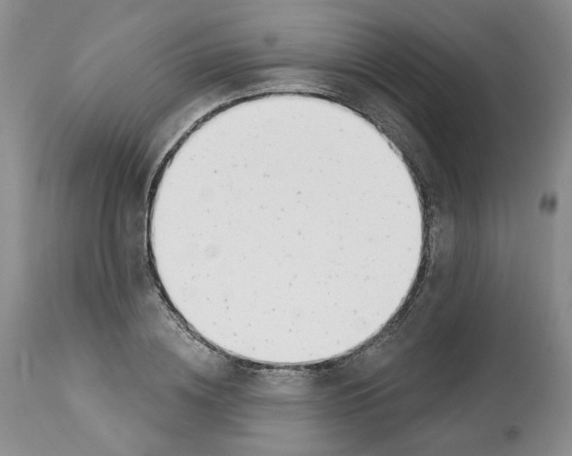 X0000112460836200909281018