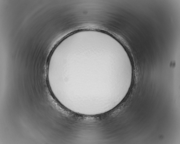 X0000112460839200909281018