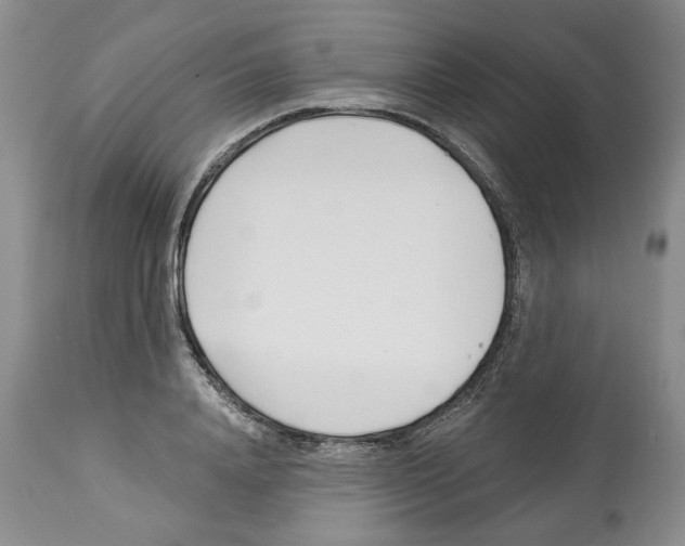 X0000112460840200909281018