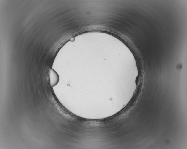 X0000112460841200909281018