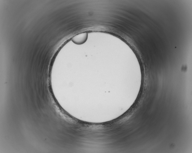 X0000112460845200909281019