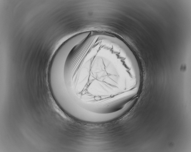 X0000112460846200909281019