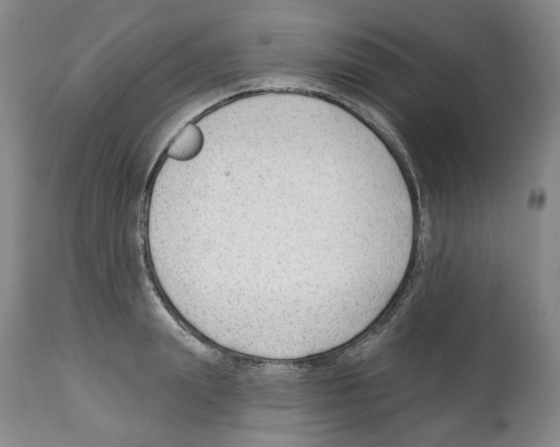 X0000112460847200909281019