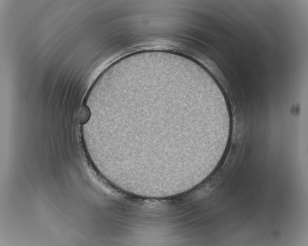 X0000112460850200909281019