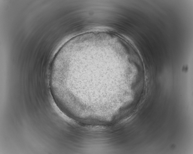 X0000112460851200909281019