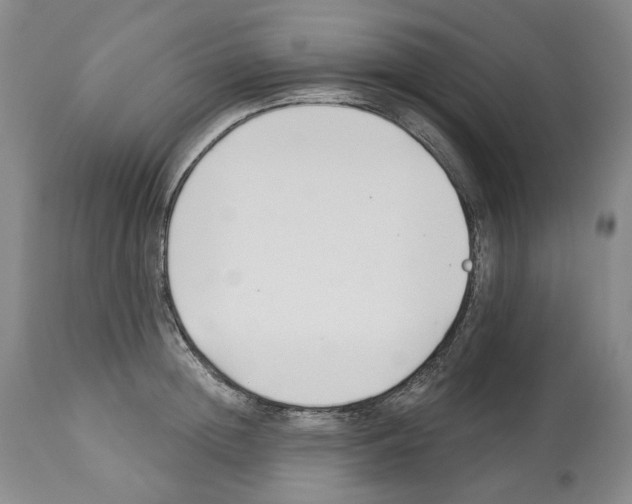 X0000112460852200909281019