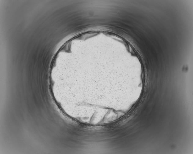X0000112460853200909281019