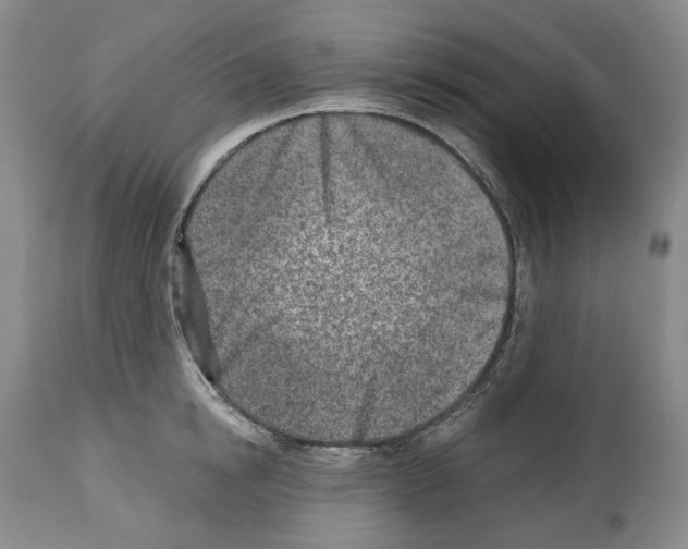 X0000112460854200909281019