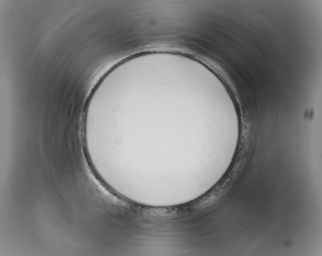 X0000112460855200909281019
