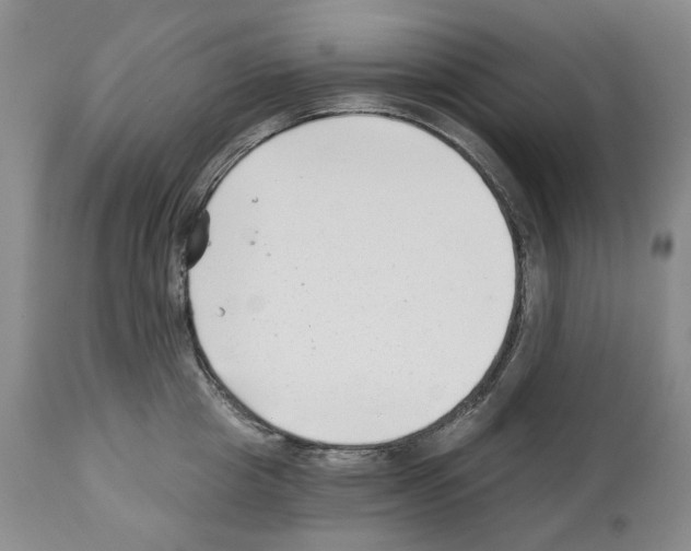 X0000112460857200909281019