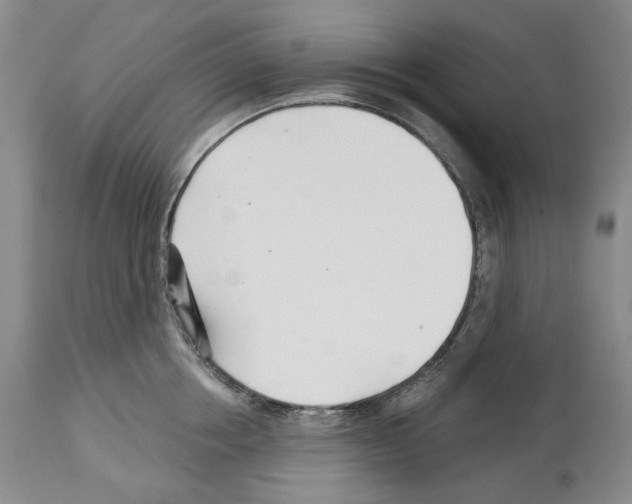 X0000112460858200909281019
