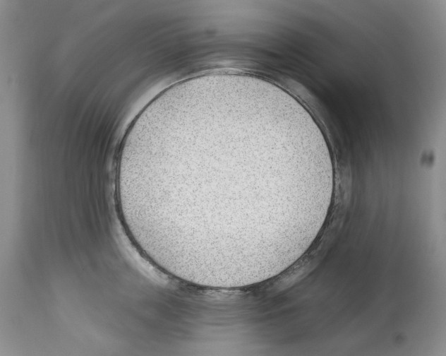X0000112460859200909281019