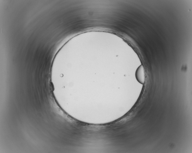 X0000112460860200909281019