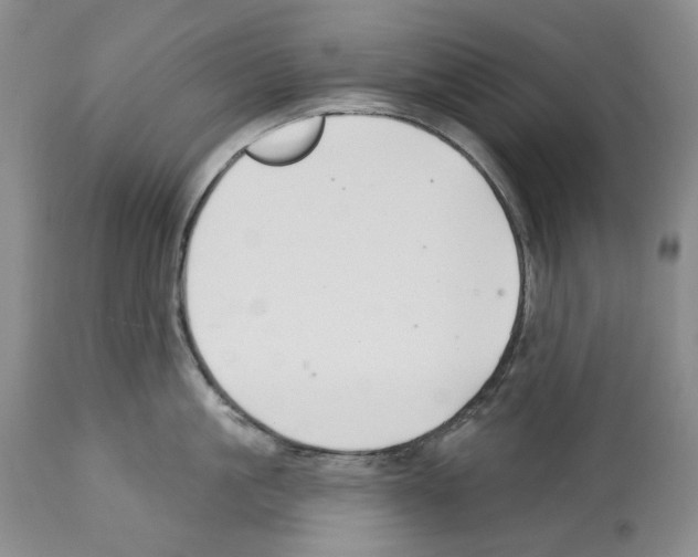 X0000112460861200909281019