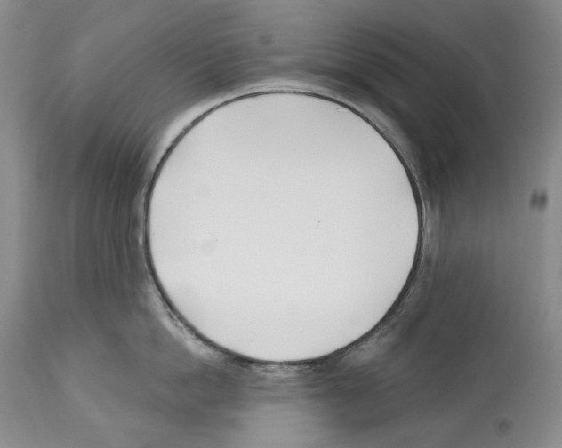 X0000112460862200909281019