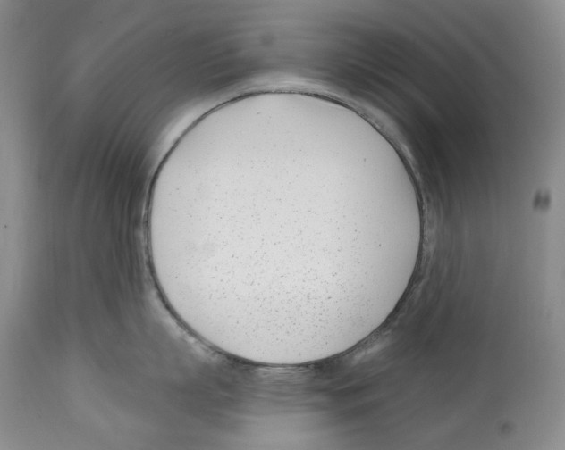 X0000112460863200909281019