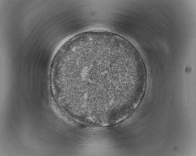 X0000112460864200909281019