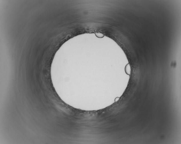 X0000112460865200909281018