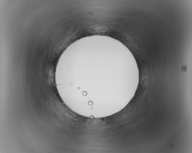 X0000112460866200909281018