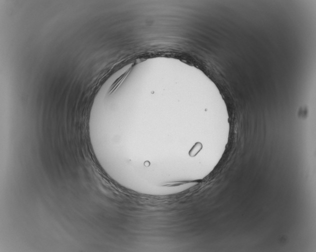 X0000112460868200909281018