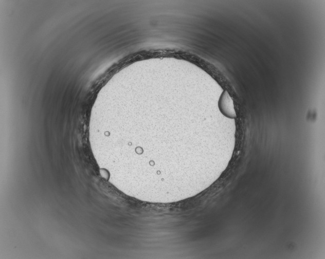 X0000112460871200909281018