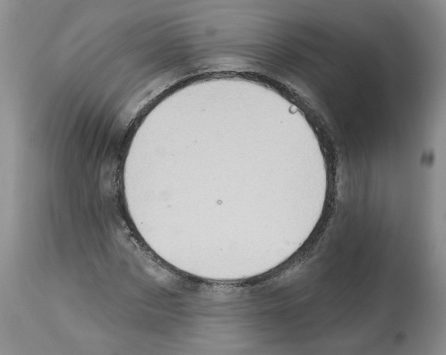 X0000112460873200909281018