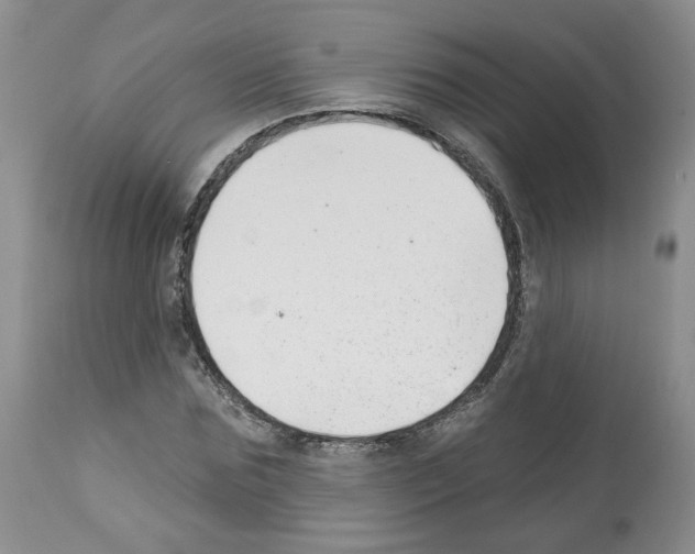 X0000112460875200909281018