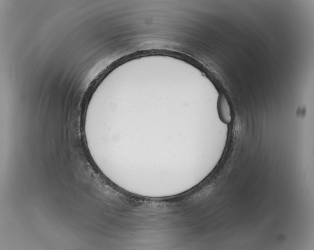 X0000112460877200909281018