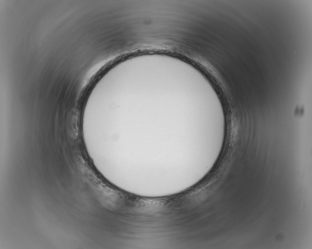 X0000112460878200909281018
