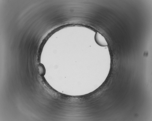 X0000112460880200909281018