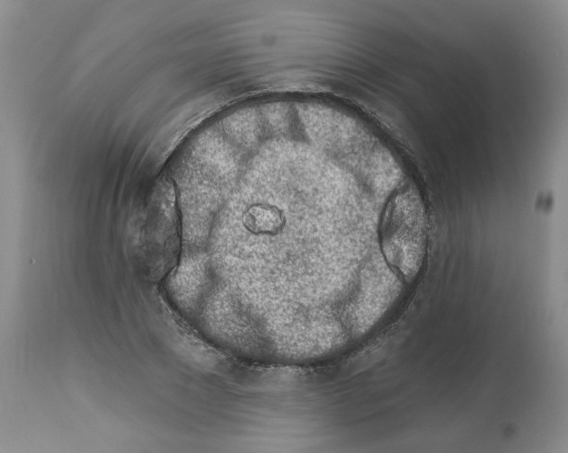 X0000112460881200909281018
