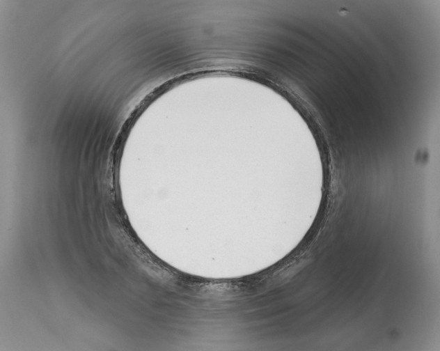 X0000112460883200909281018