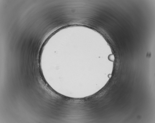 X0000112460884200909281018