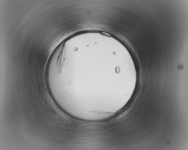 X0000112460885200909281018