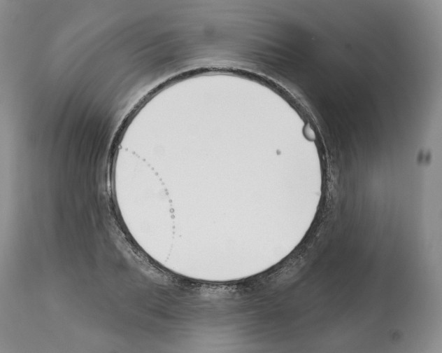 X0000112460887200909281018