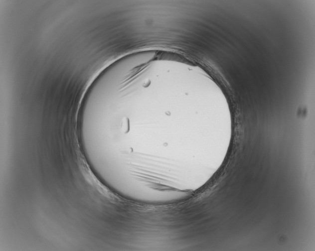 X0000112460892200909281018