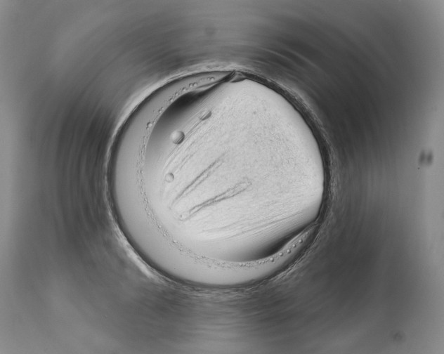 X0000112460894200909281018