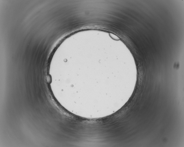 X0000112460896200909281018