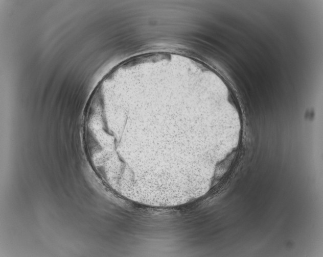 X0000112460899200909281018