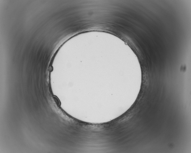 X0000112460900200909281018