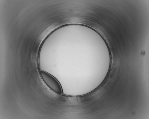 X0000112460901200909281018