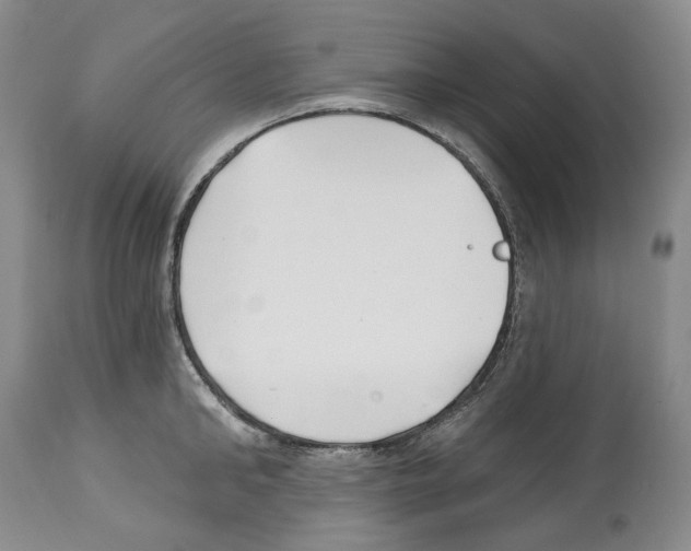 X0000112460902200909281018