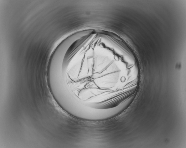 X0000112460904200909281018
