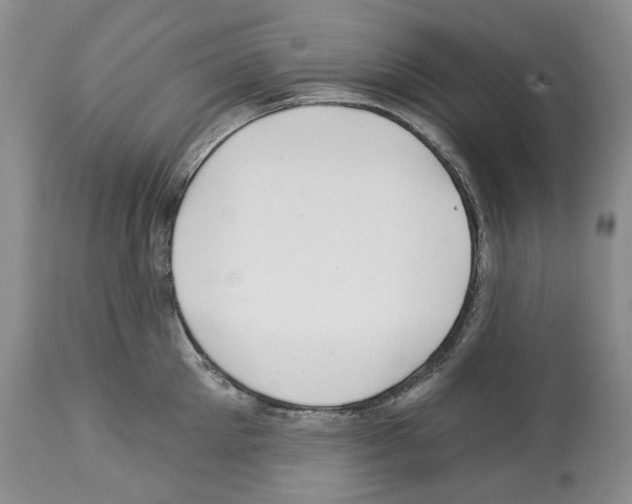 X0000112460905200909281018