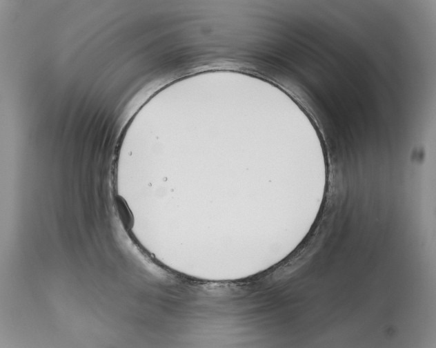 X0000112460906200909281018