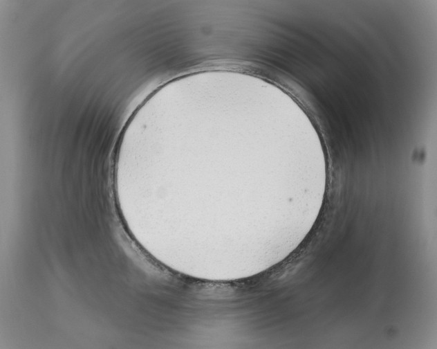 X0000112460907200909281018