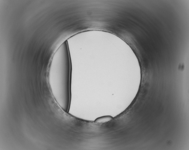 X0000112460908200909281018