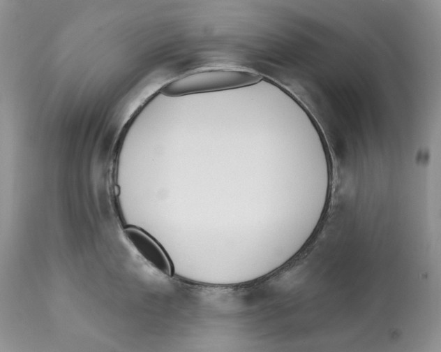 X0000112460909200909281018